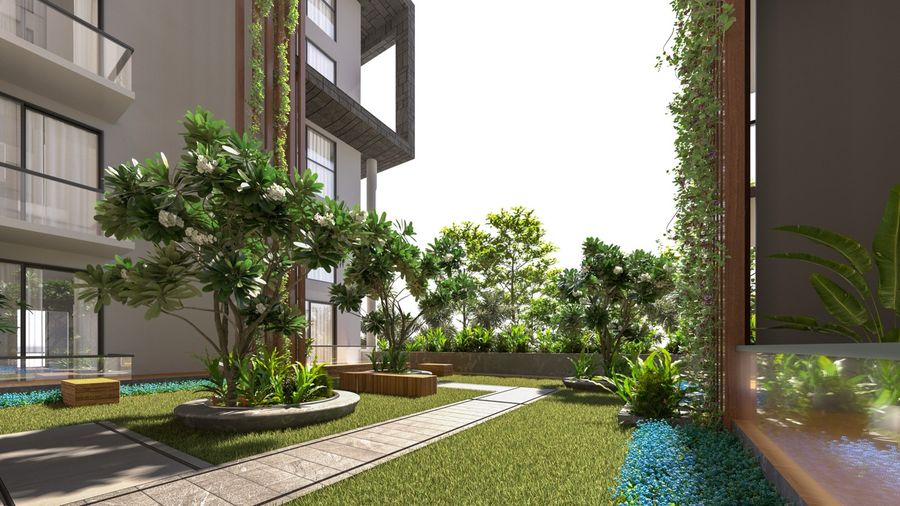 Landscaped courtyard at Magnolia Delight